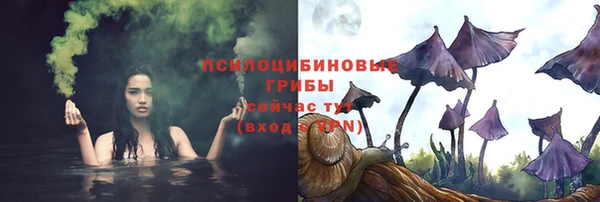 МДПВ Армянск