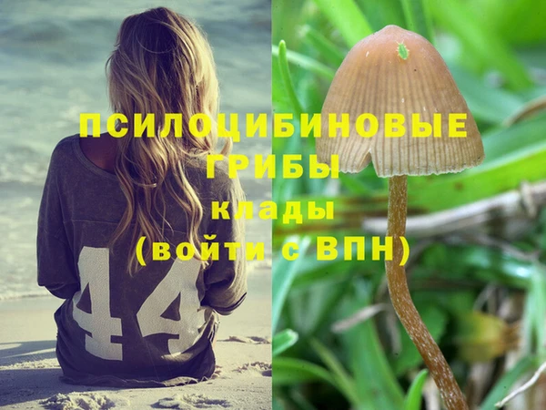МДПВ Армянск