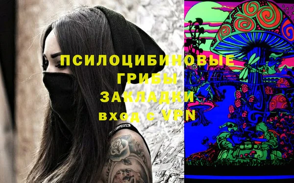 PSILOCYBIN Аркадак